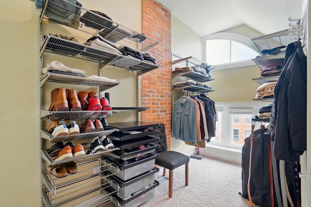 931 Dennison Ave, Columbus, OH 43201 - walk in closet with vaulted ceiling and carpet floors