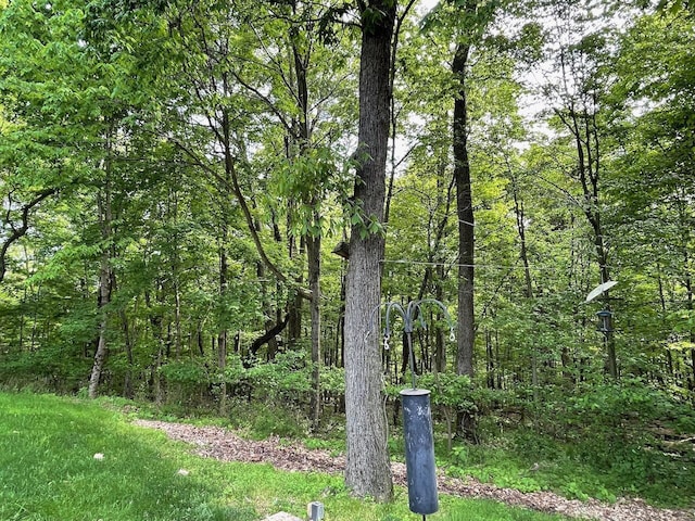 61 Wyddfa Ct, Granville, OH 43023 - view of wooded area
