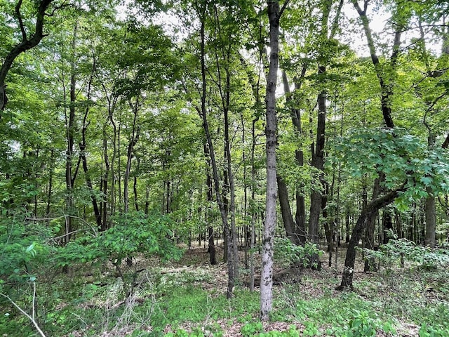 61 Wyddfa Ct, Granville, OH 43023 - view of wooded area