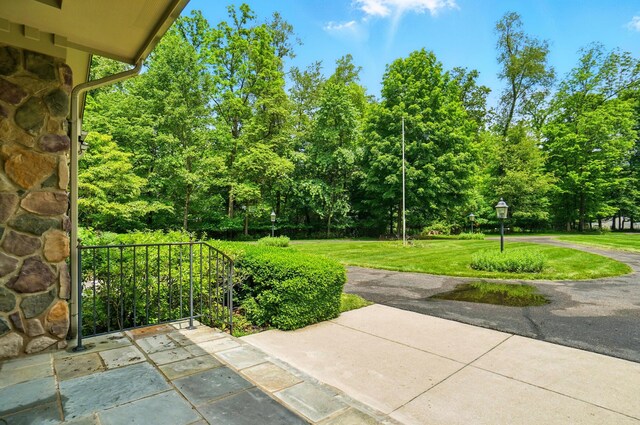 61 Wyddfa Ct, Granville, OH 43023 - photo 8