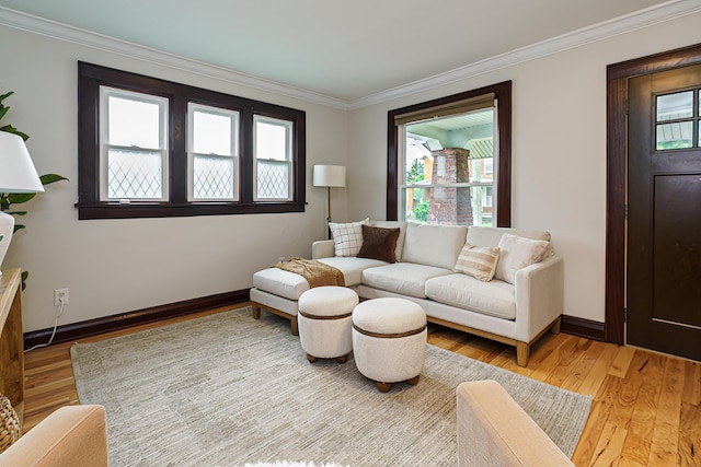24 Brighton Rd, Columbus, OH 43202 - living room featuring plenty of natural light, ornamental molding, baseboards, and light wood finished floors