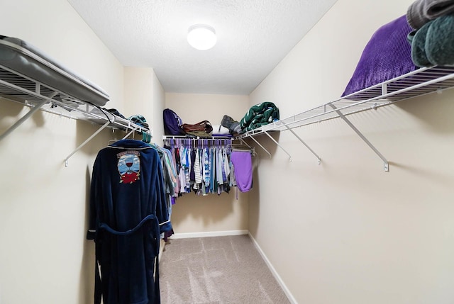 spacious closet with carpet