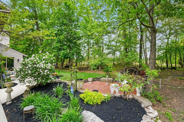 view of yard featuring a patio area