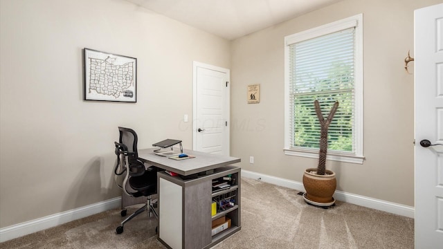 office space featuring baseboards and carpet flooring