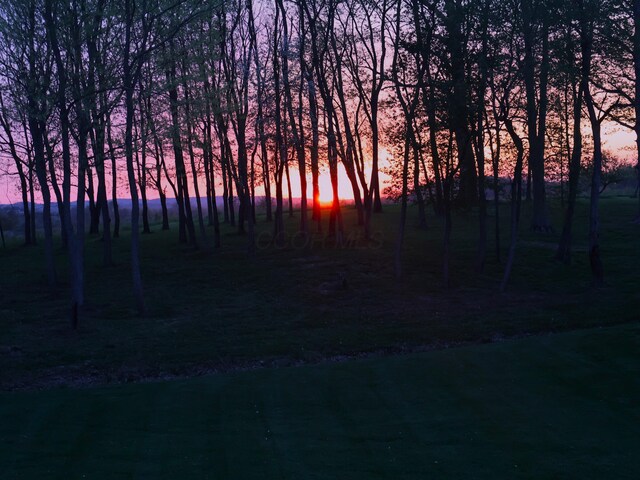 view of nature at dusk