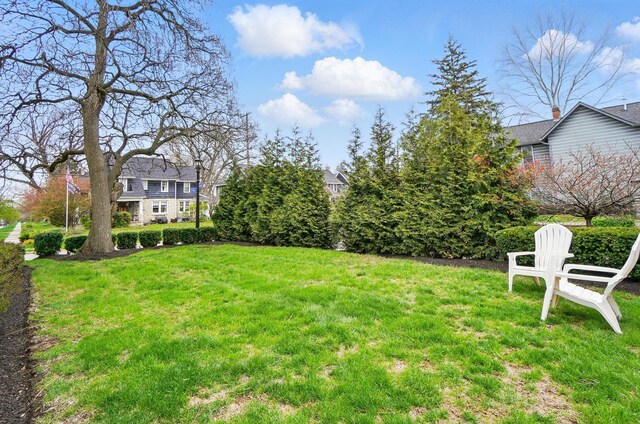 view of green lawn