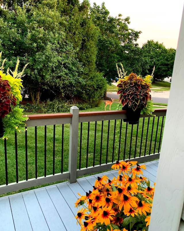 3998 Kul Cir S, Hilliard, OH 43026 - deck featuring a yard