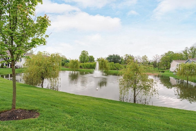 property view of water