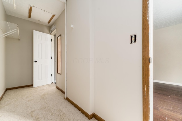 1409 Hackworth St, Columbus, OH 43207 - corridor with baseboards