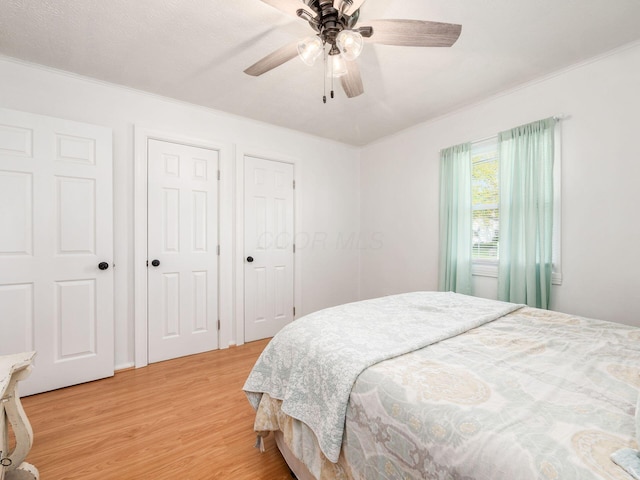 5349 Norwich St, Hilliard, OH 43026 - bedroom featuring light wood-style floors, ornamental molding, multiple closets, and a ceiling fan