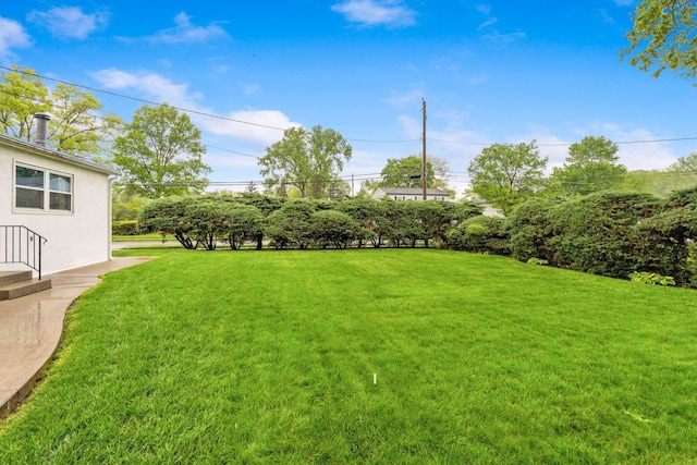 view of grassy yard