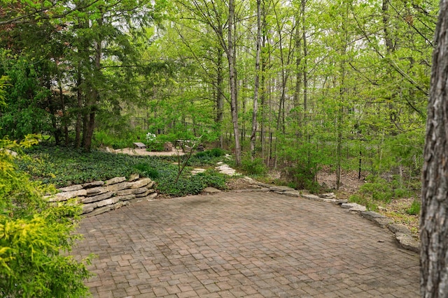 7870 Cook Rd, Plain City, OH 43064 - view of patio / terrace with a wooded view