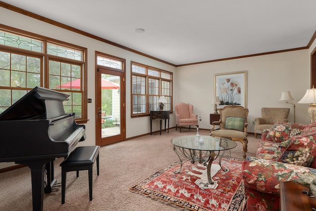 7870 Cook Rd, Plain City, OH 43064 - living area featuring carpet floors, ornamental molding, and baseboards