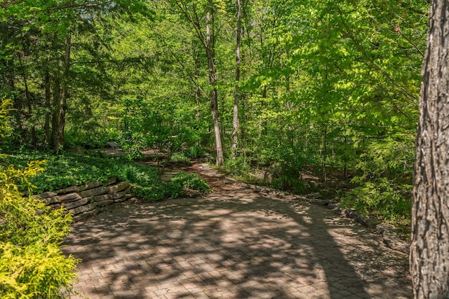 7870 Cook Rd, Plain City, OH 43064 - view of tree filled area