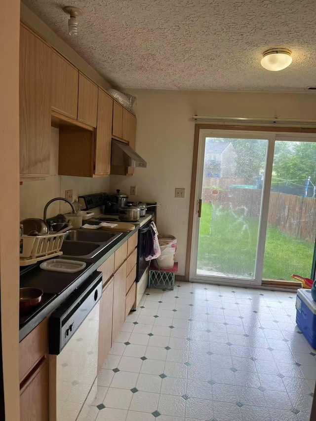 kitchen with dishwashing machine, electric stove, a sink, under cabinet range hood, and dark countertops