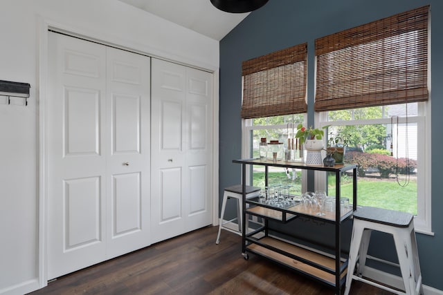5372 Thistledown Dr, Columbus, OH 43221 - interior space featuring lofted ceiling, dark wood-style floors, and a closet