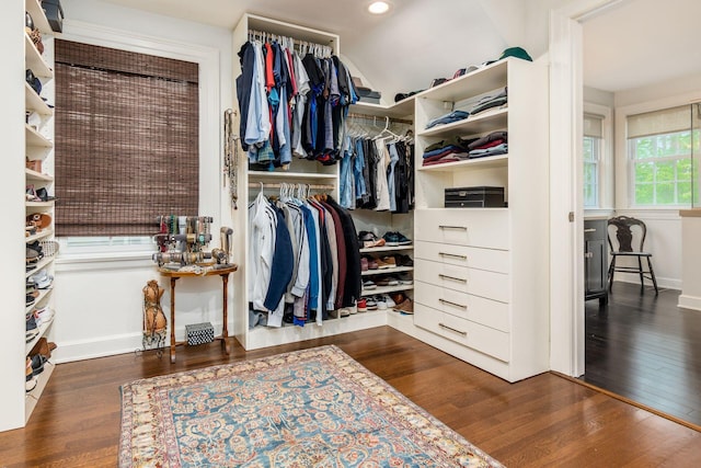 walk in closet featuring wood finished floors