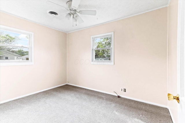 127 Little Flower Ln, Columbus, OH 43213