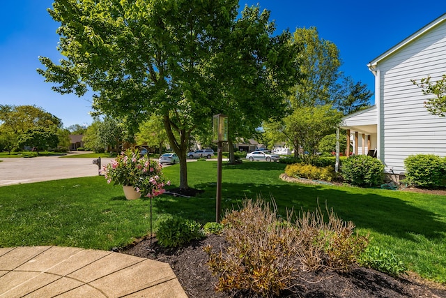 8200 Markhaven Dr, Columbus, OH 43235 - view of green lawn