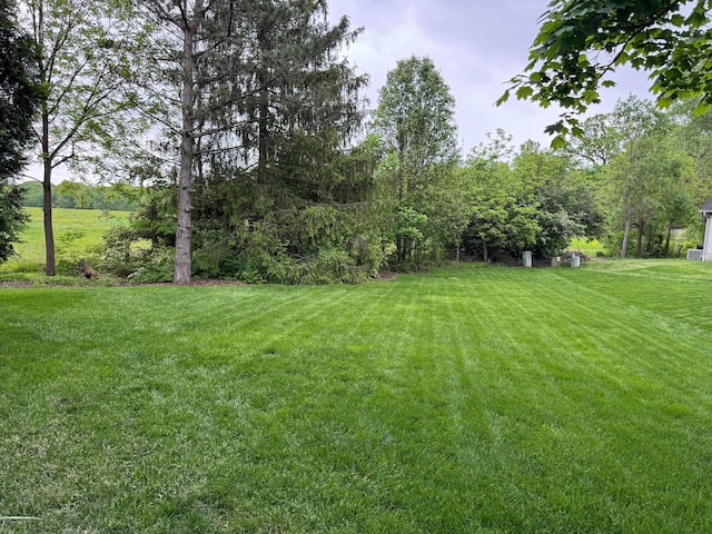 8200 Markhaven Dr, Columbus, OH 43235 - view of green lawn