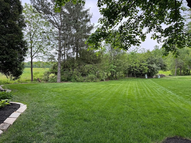 8200 Markhaven Dr, Columbus, OH 43235 - view of grassy yard