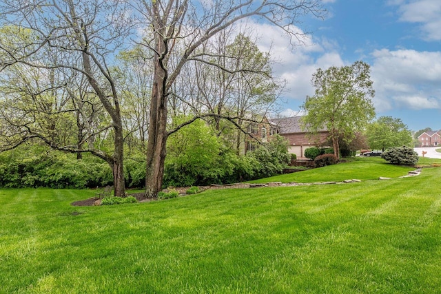 8383 Clarington Ct, Powell, OH 43065 - photo 10