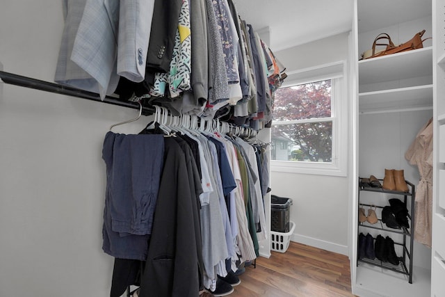 591 French Dr, Columbus, OH 43228 - walk in closet with wood finished floors