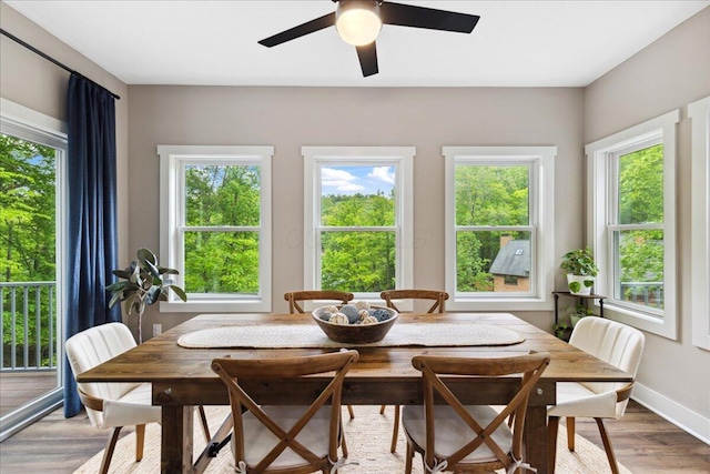 659 Natchez Ln, Sugar Grove, OH 43155 - dining space with light wood-type flooring, plenty of natural light, a ceiling fan, and baseboards