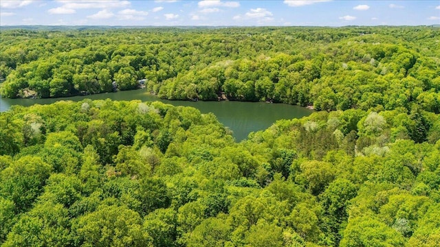 659 Natchez Ln, Sugar Grove, OH 43155 - aerial view of a forest and a large body of water