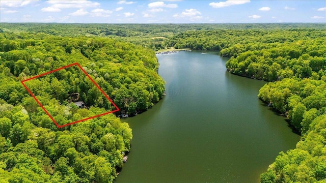 659 Natchez Ln, Sugar Grove, OH 43155 - aerial view of property's location featuring a forest, a large body of water, and property parcel outlined
