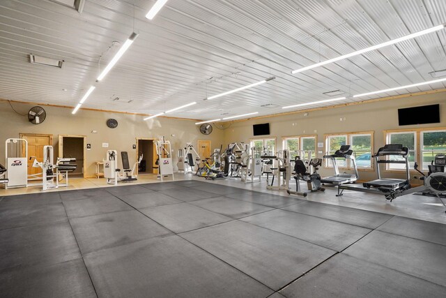 259 Shawnee Ln Unit L, Sugar Grove, OH 43155 - workout area with plenty of natural light