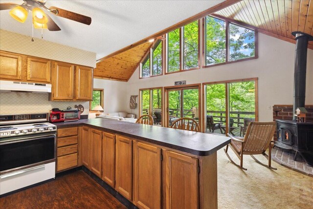 259 Shawnee Ln Unit L, Sugar Grove, OH 43155 - kitchen with electric range, under cabinet range hood, a wood stove, dark countertops, and a peninsula