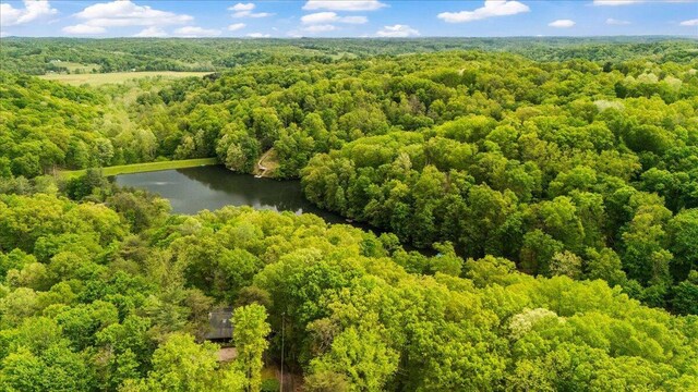 259 Shawnee Ln Unit L, Sugar Grove, OH 43155 - aerial view of a heavily wooded area and a large body of water