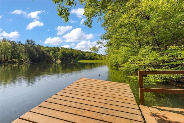 259 Shawnee Ln Unit L, Sugar Grove, OH 43155 - dock area featuring a water view and a wooded view