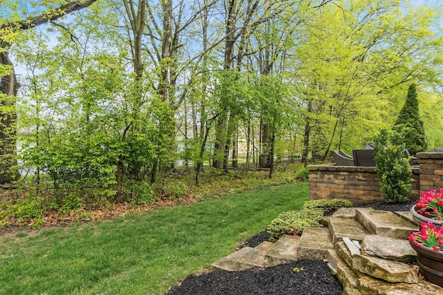 5464 Slater Rdg, Westerville, OH 43082 - view of green lawn