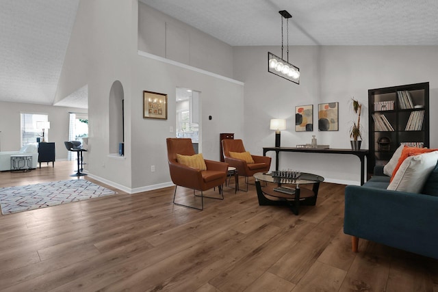 4215 Mack Ct, Powell, OH 43065 - living area with hardwood / wood-style flooring, arched walkways, a textured ceiling, a towering ceiling, and baseboards
