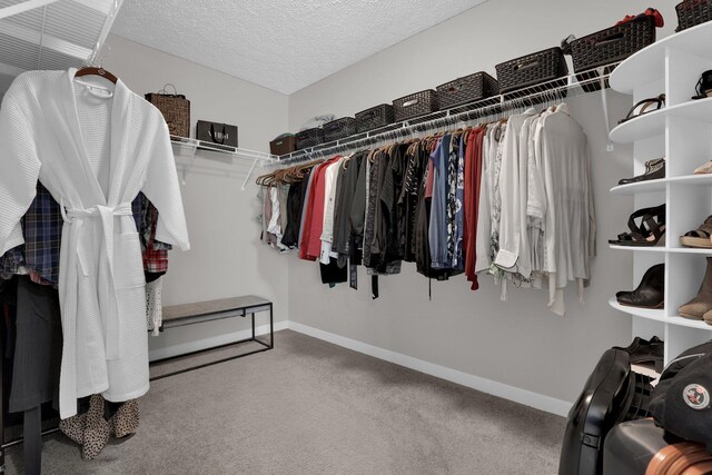 4215 Mack Ct, Powell, OH 43065 - spacious closet with carpet