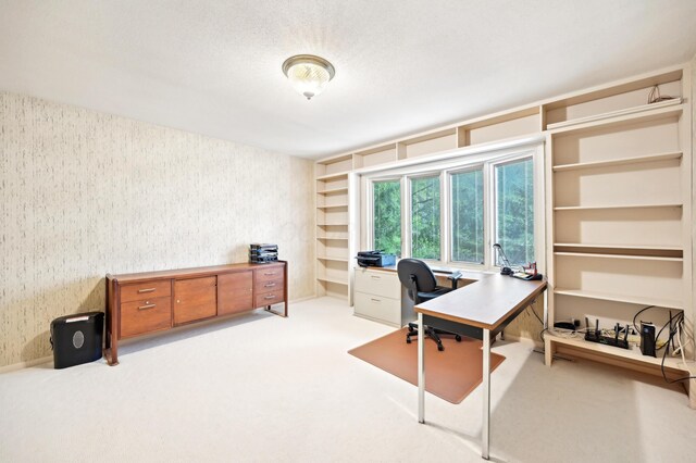 685 Dogwood Ln, Newark, OH 43055 - carpeted office space with wallpapered walls
