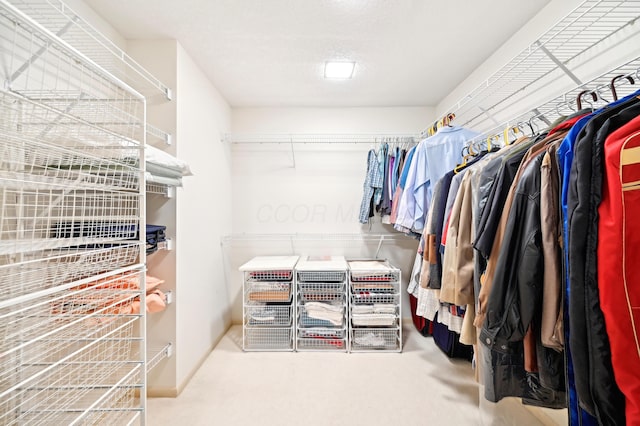 685 Dogwood Ln, Newark, OH 43055 - spacious closet featuring carpet floors
