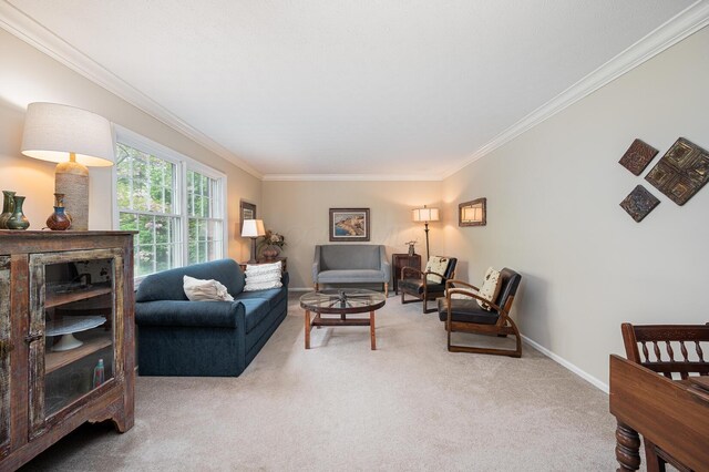1211 Darcann Dr, Columbus, OH 43220 - carpeted living room featuring crown molding and baseboards