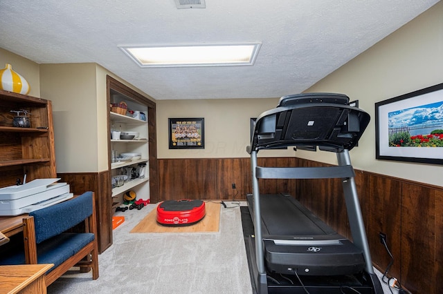 1211 Darcann Dr, Columbus, OH 43220 - exercise area featuring wood walls, wainscoting, a textured ceiling, and carpet floors