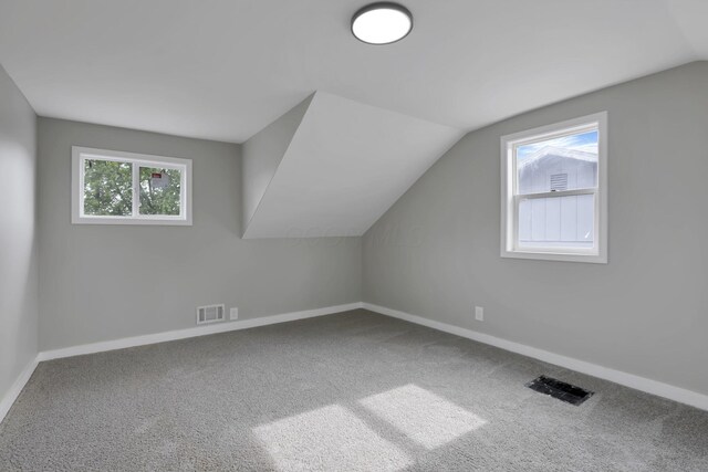 193 Seymour Ave, Buckeye Lake, OH 43008 - bonus room with lofted ceiling, baseboards, and carpet floors