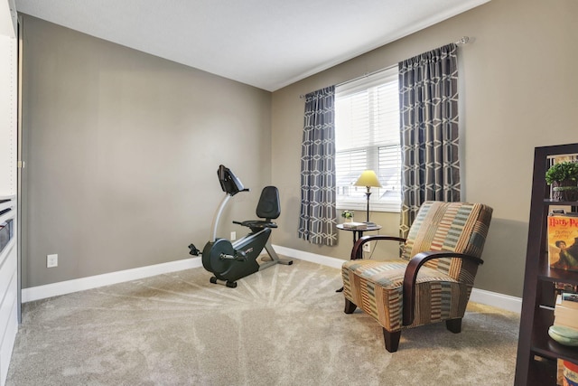 4919 Nadine Park Dr, Hilliard, OH 43026 - sitting room with carpet floors and baseboards