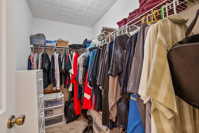 119 Harvard Loop, Delaware, OH 43015 - walk in closet with carpet