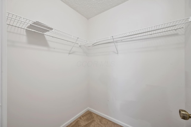 119 Harvard Loop, Delaware, OH 43015 - spacious closet with carpet flooring