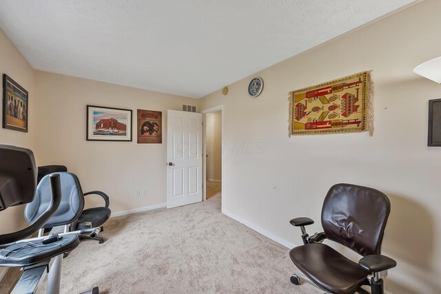 119 Harvard Loop, Delaware, OH 43015 - sitting room featuring baseboards and carpet