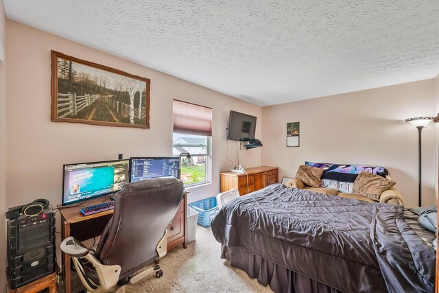 119 Harvard Loop, Delaware, OH 43015 - bedroom with light carpet and a textured ceiling