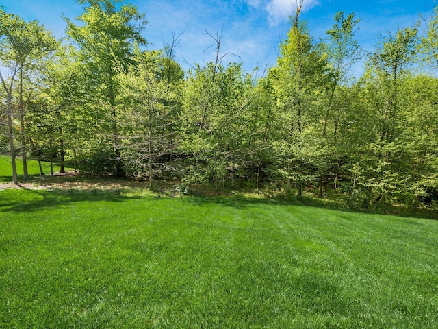 9378 Pine Creek Dr, Powell, OH 43065 - view of grassy yard