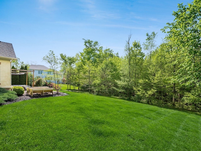 9378 Pine Creek Dr, Powell, OH 43065 - view of green lawn