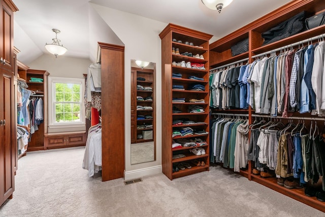 9378 Pine Creek Dr, Powell, OH 43065 - spacious closet with carpet and lofted ceiling